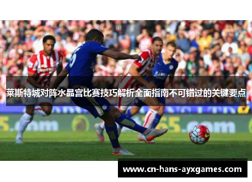 莱斯特城对阵水晶宫比赛技巧解析全面指南不可错过的关键要点