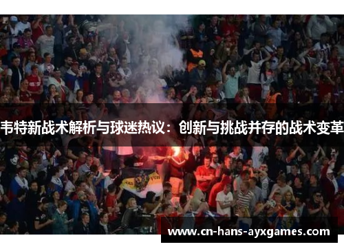 韦特新战术解析与球迷热议：创新与挑战并存的战术变革